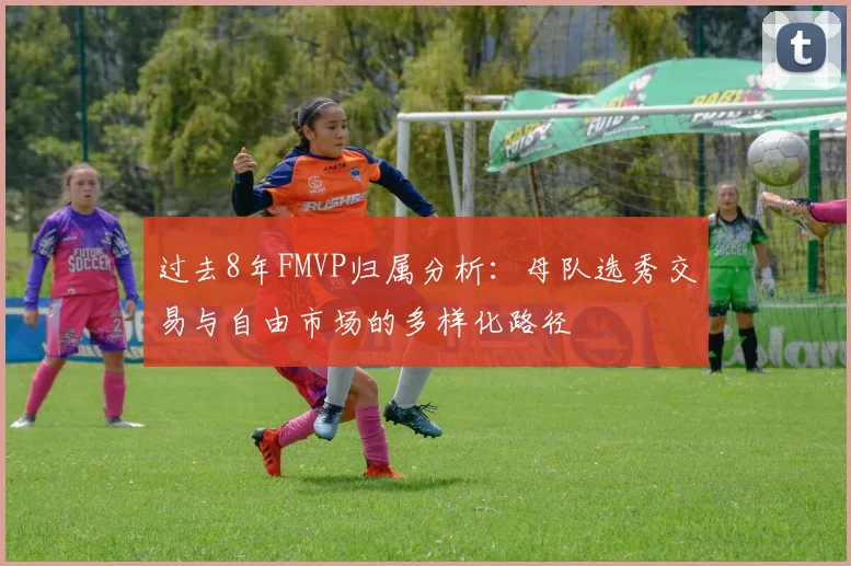过去8年FMVP归属分析：母队选秀交易与自由市场的多样化路径